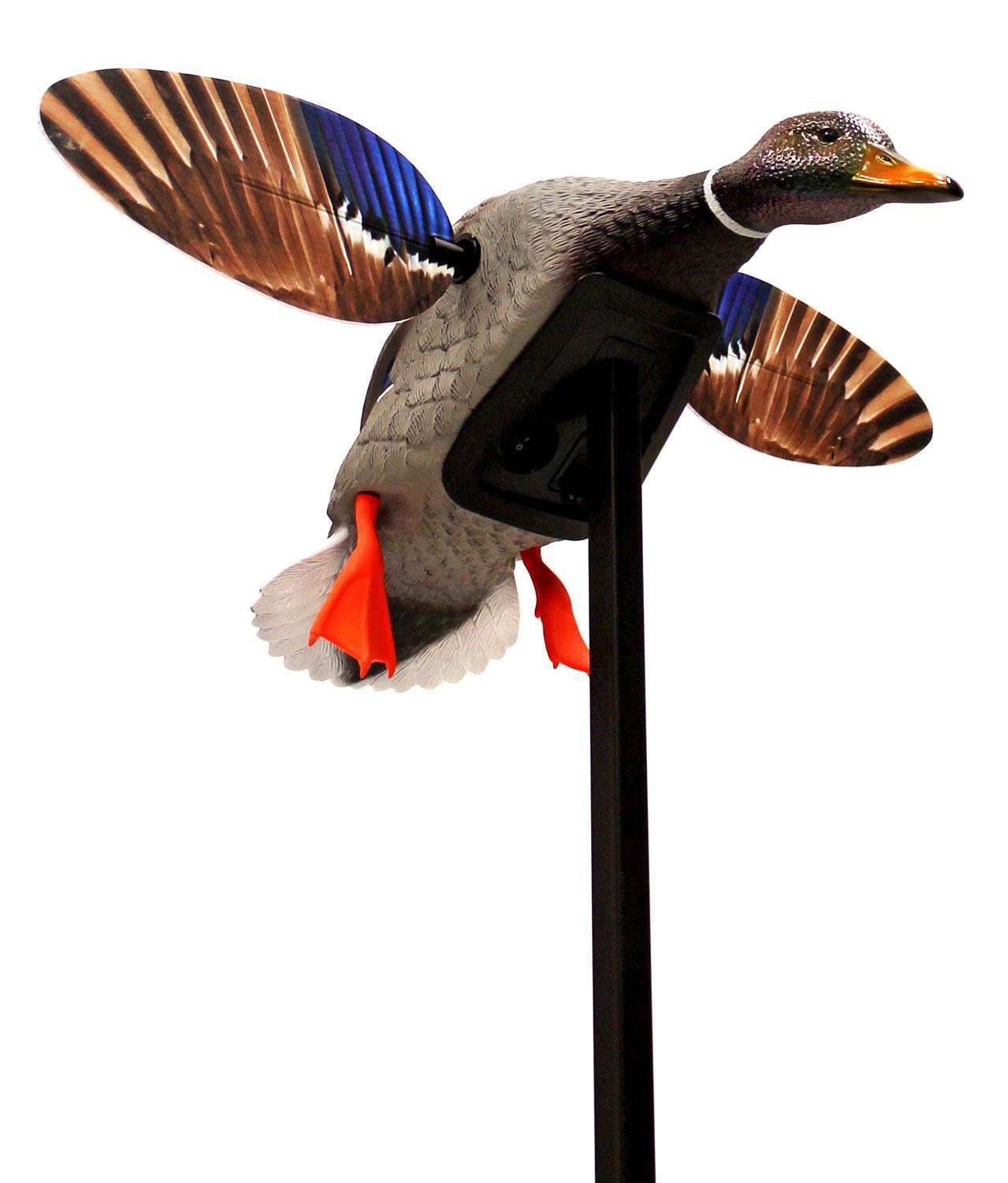 Mojo Outdoors HW24703P Elite Series Mini Mallard Drake Species Mu
